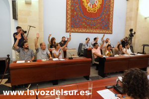 pleno.lavozdelsur