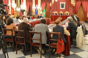 pleno.dipu.nov2015